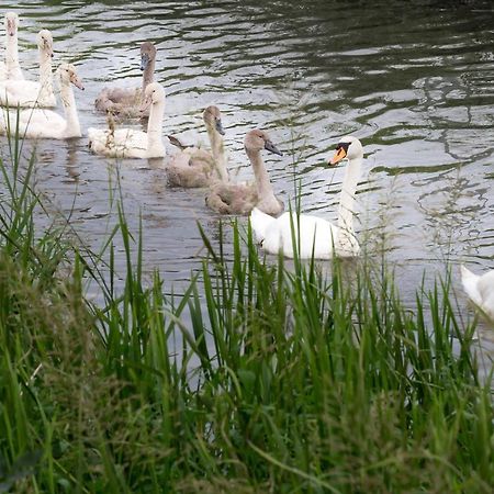 L'Attrap'Rêves : Le confort Hôtelier, la convivialité en plus Ergersheim Esterno foto